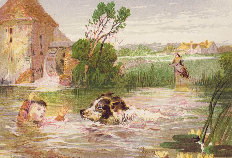 Chien sauvant la vie de Charley - Harrison William Weir