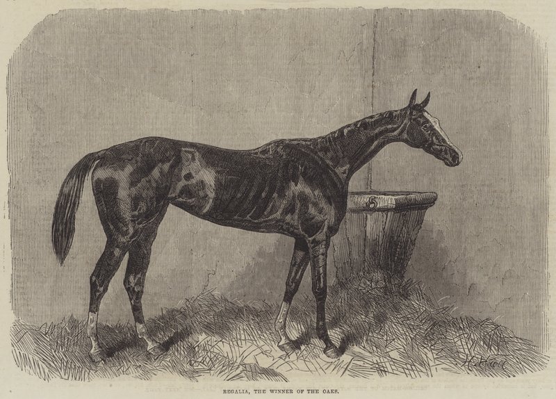Regalia, le Vainqueur des Oaks - Harry Hall