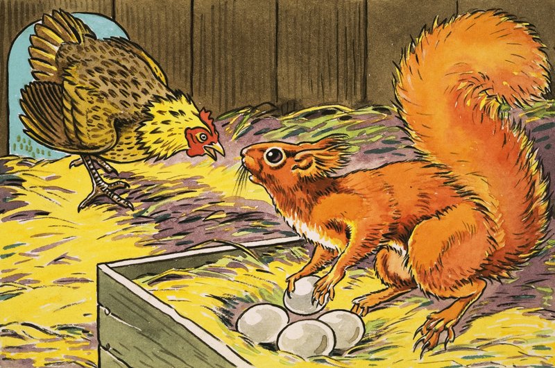 Petit écureuil rouge - Harry M. Pettit