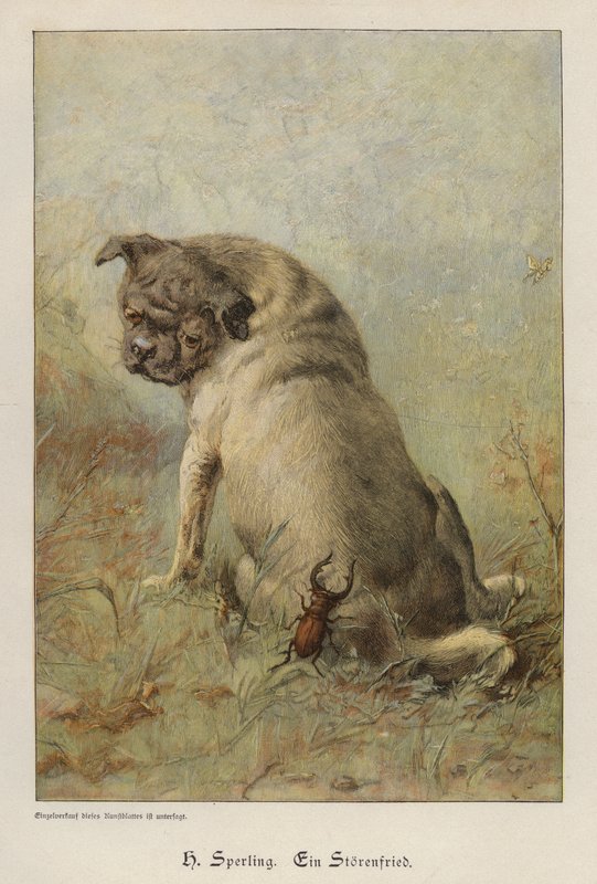 Un fauteur de troubles - Heinrich Sperling