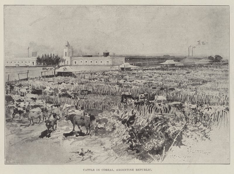Bétail dans un corral, République Argentine - Henry Charles Seppings Wright