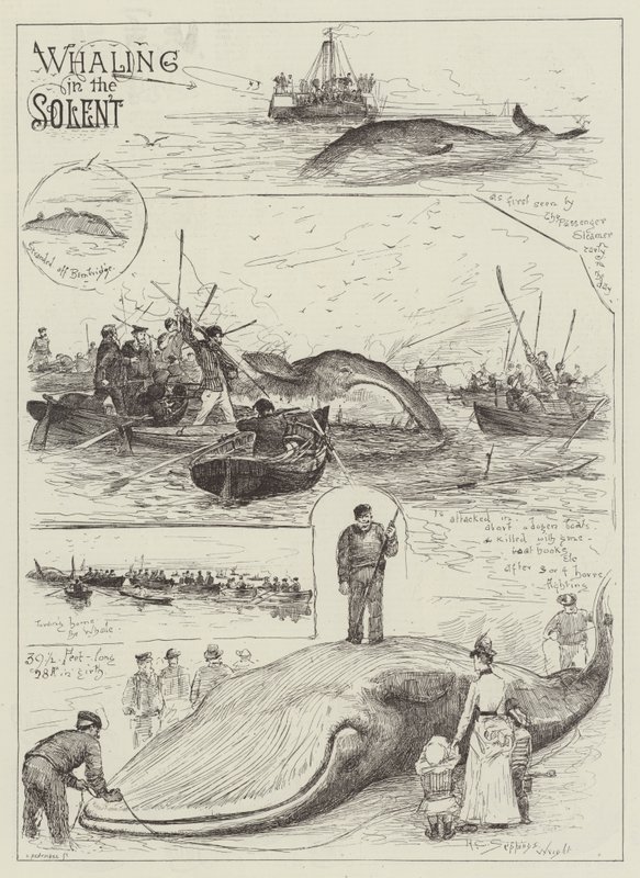 Chasse à la baleine dans le Solent - Henry Charles Seppings Wright