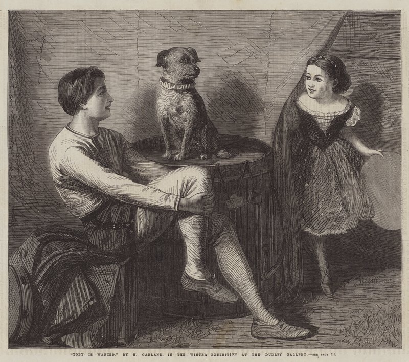 Toby est recherché - Henry Garland
