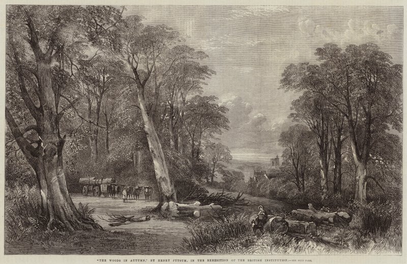 Les bois en automne - Henry Jutsum