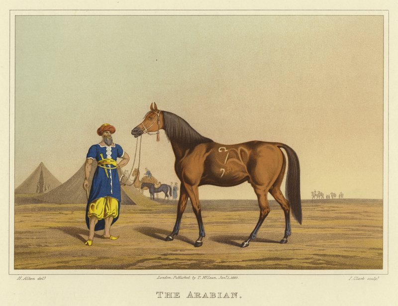 Arabe - Henry Thomas Alken