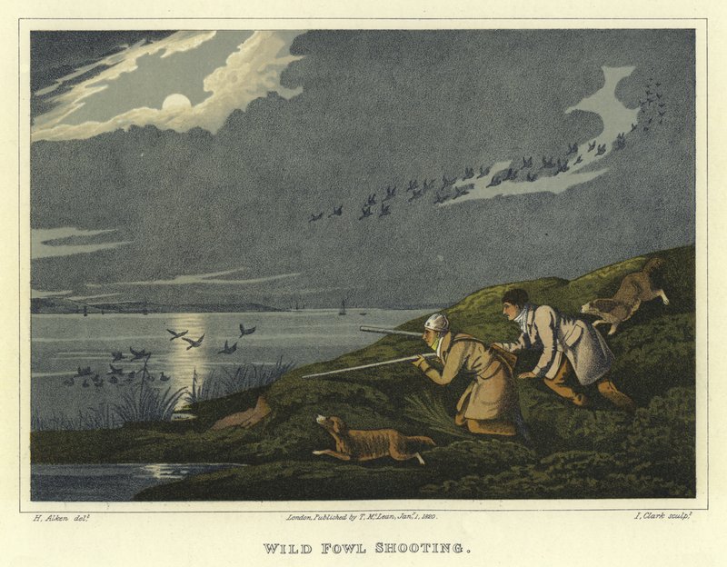 Chasse aux oiseaux sauvages - Henry Thomas Alken