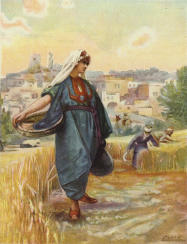 Récolte d
