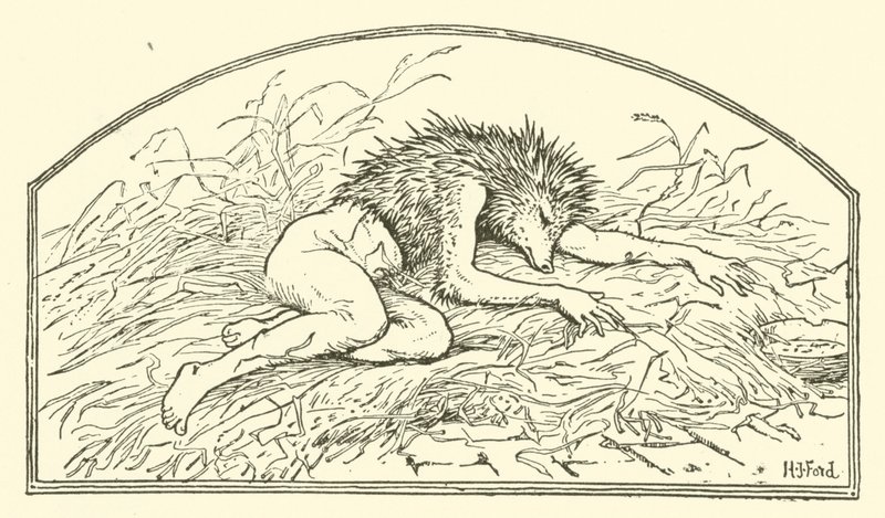 Jack mon Hérisson - Henry Justice Ford