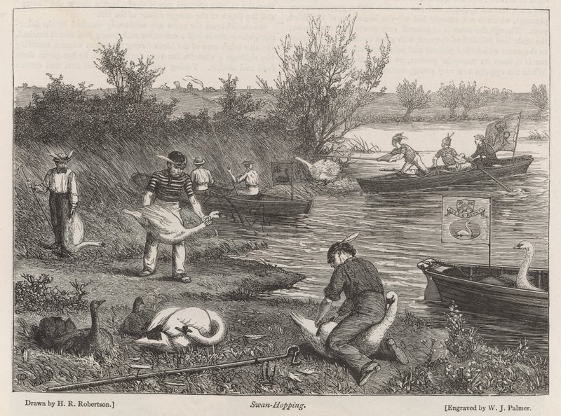 Chasse aux cygnes - Henry Robert Robertson