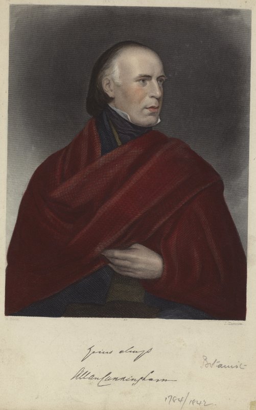 Allan Cunningham - Henry Room