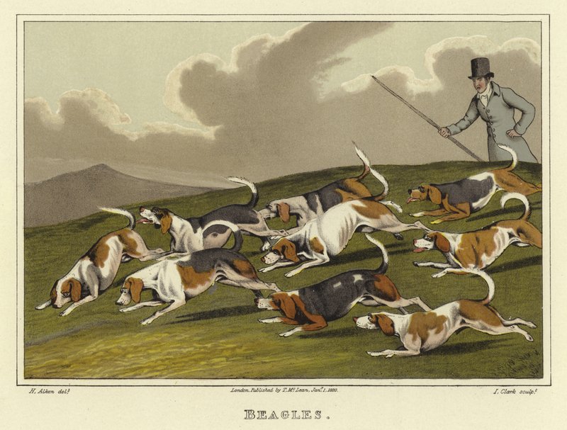 Beagles - Henry Thomas Alken