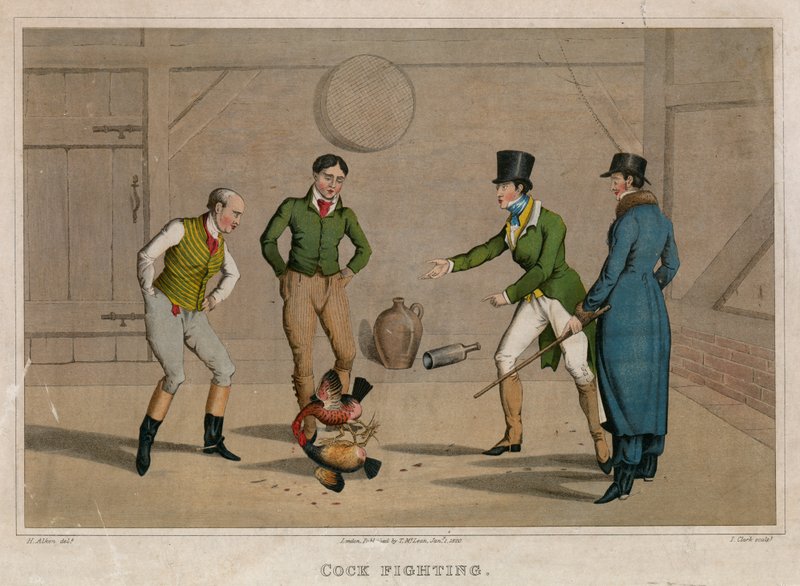Combat de coqs - Henry Thomas Alken