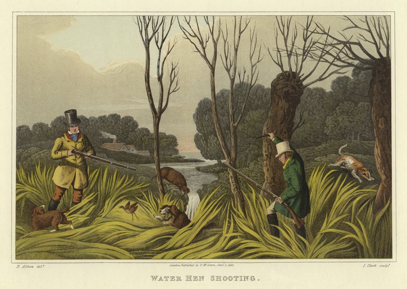 Chasse à la poule d