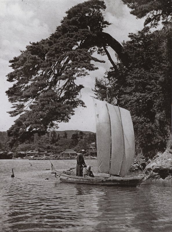 À Matsushima - Herbert Ponting