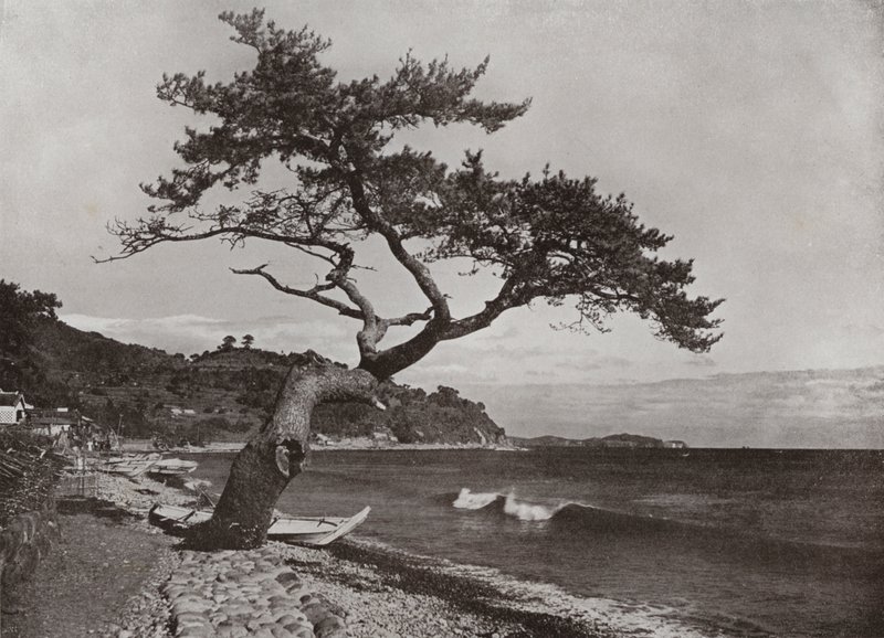 Atami (photo n/b) - Herbert Ponting