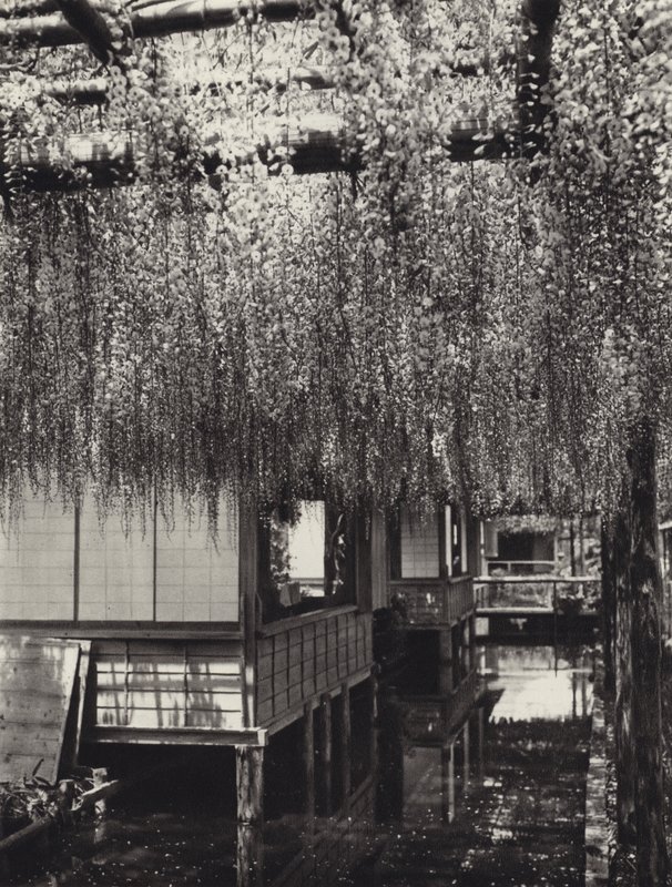 Japon dans les années 1920 : Tokyo, Kameido - Herbert Ponting