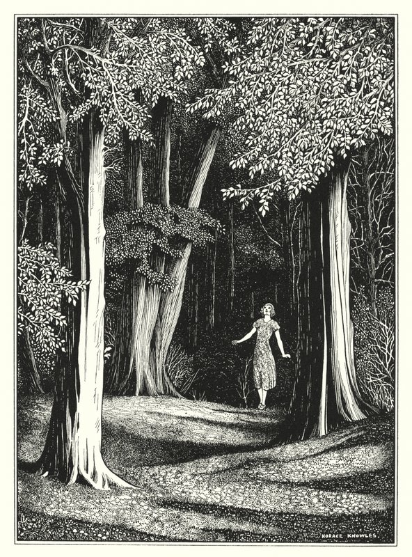Juillet (litho) - Horace J. Knowles