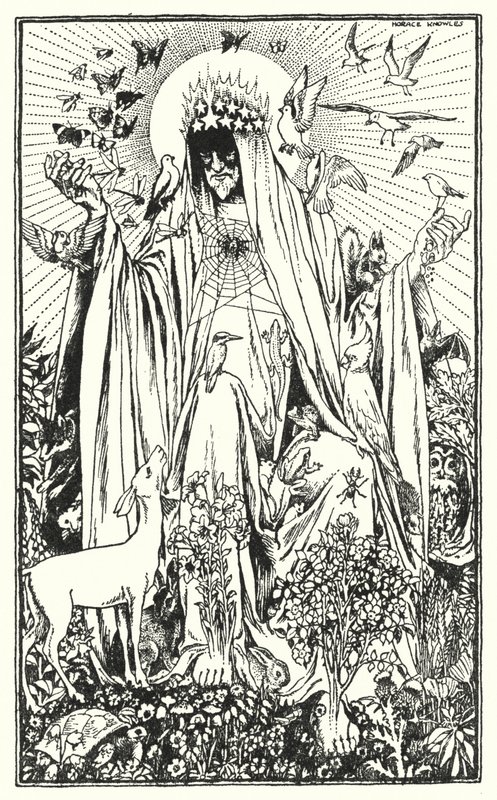 Rouge-gorge (litho) - Horace J. Knowles