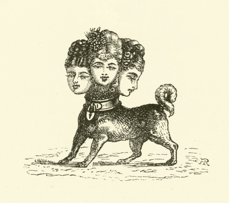 Cerbère femelle - Hugh Rowley