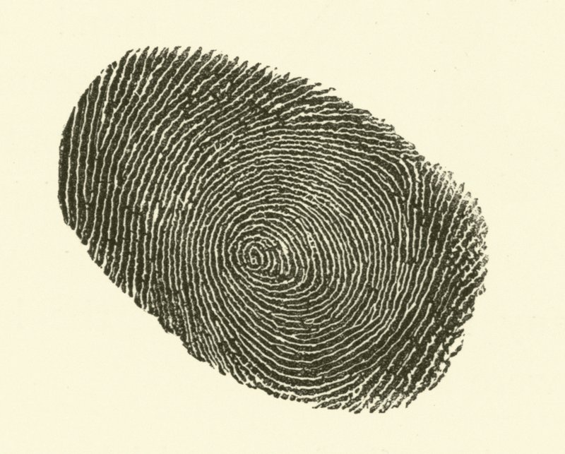 Empreinte digitale - Hugh Rowley