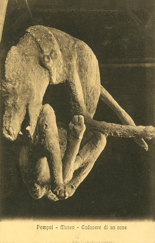 Pompéi, musée, cadavre d