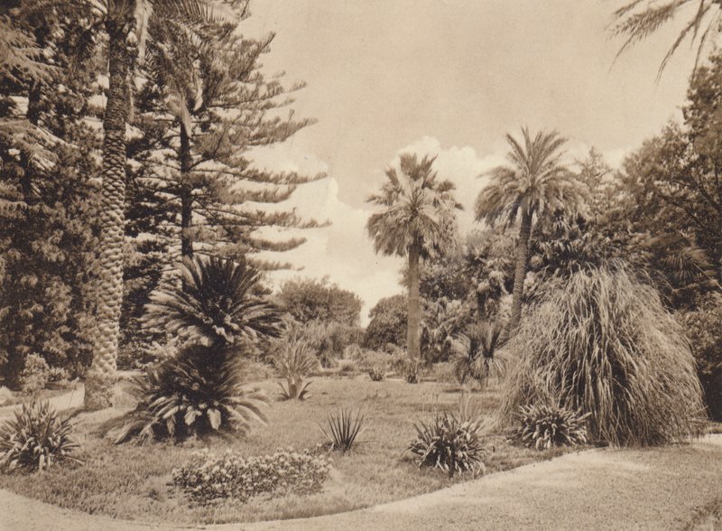 Sicile / Sicile : Villa Tasca, Palermo (photo n/b) - Italian Photographer