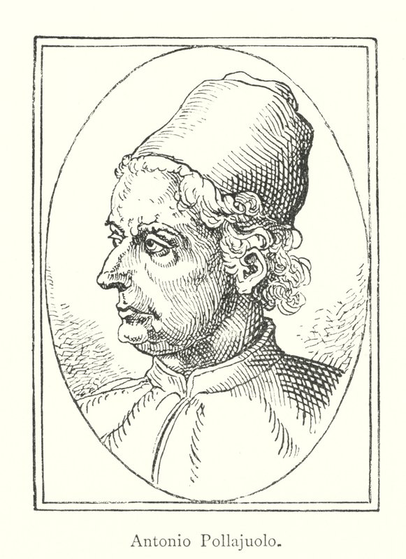 Antonio Pollajuolo - Italian School