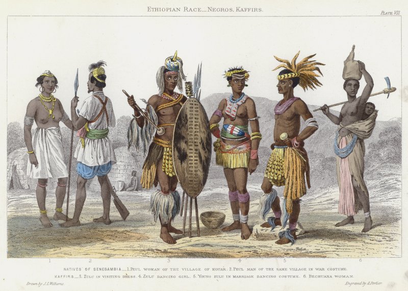 Race éthiopienne, Nègres, Kaffirs (gravure en couleur) - J.L. (after) Williams