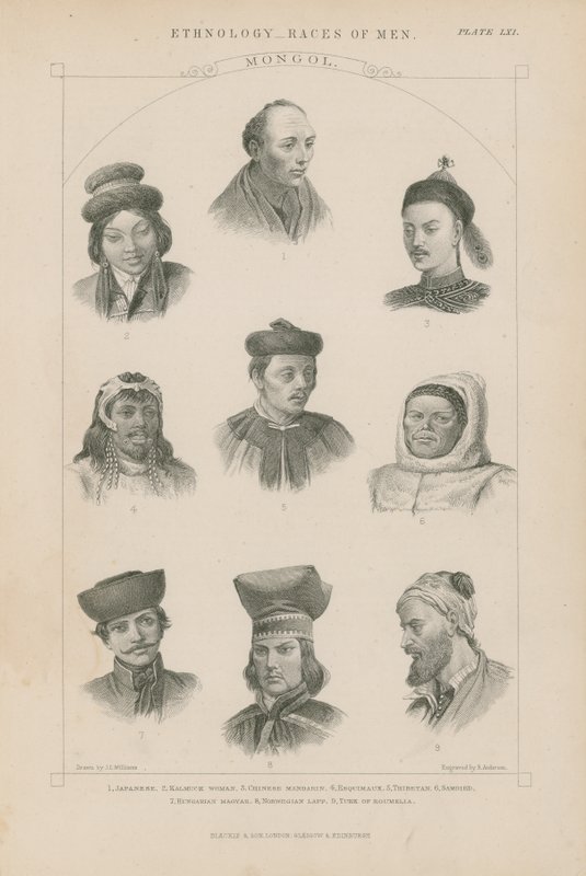 Neuf visages de différentes races mongoles - J.L. Williams