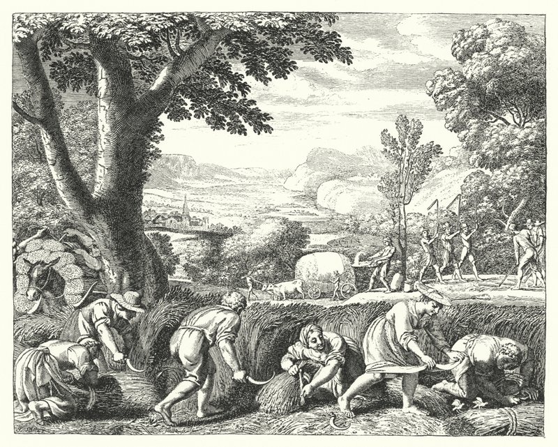 Scène de récolte (gravure) - Jacques Stella