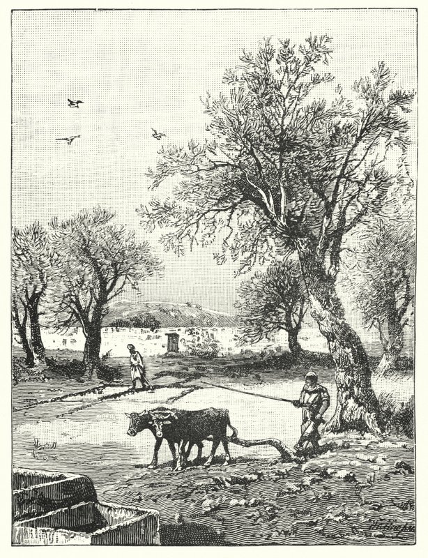Labour dans un vignoble - James (after) Clark
