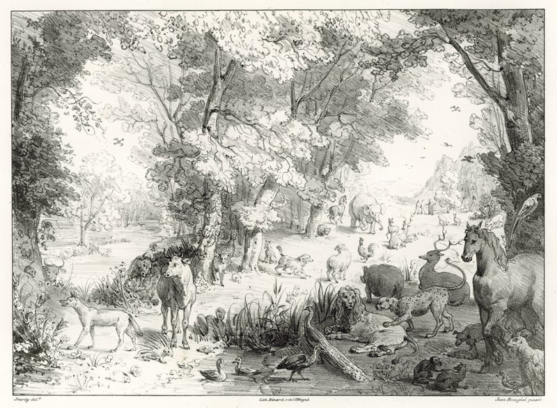 Terre : le paradis terrestre - Jan the Elder Brueghel