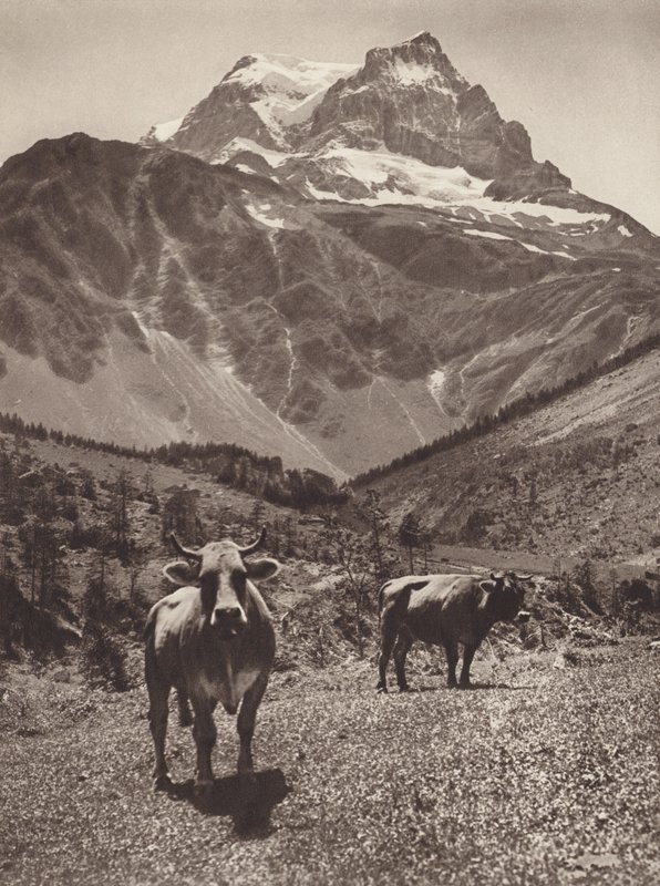 Suisse : Le Tödi - Jean Gaberell