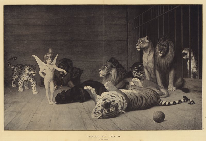Apprivoisé par Cupidon - Jean Leon Gerome