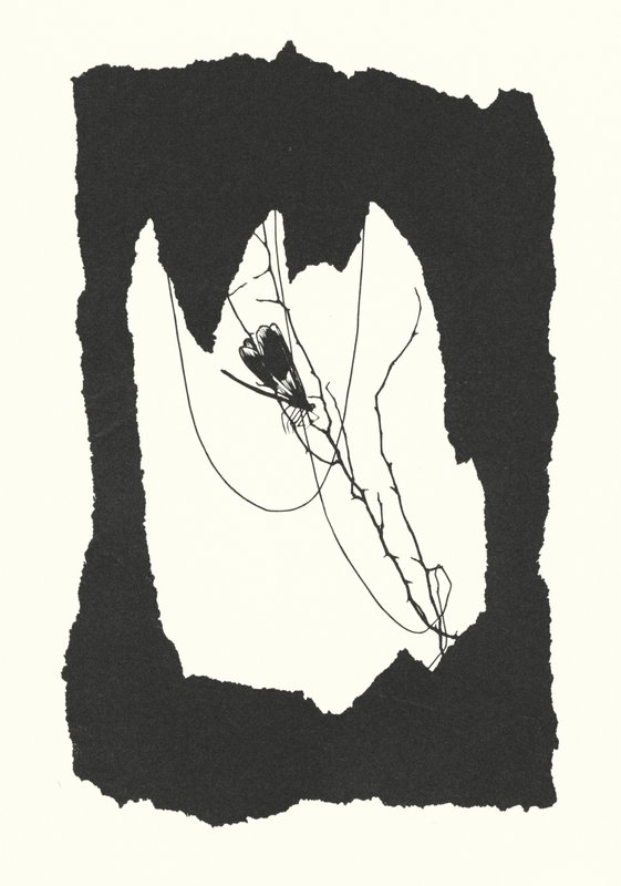 Silhouette de Johanna Beckmann - Johanna Beckmann