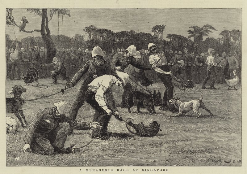 Une course de ménagerie à Singapour - John Charles Dollman