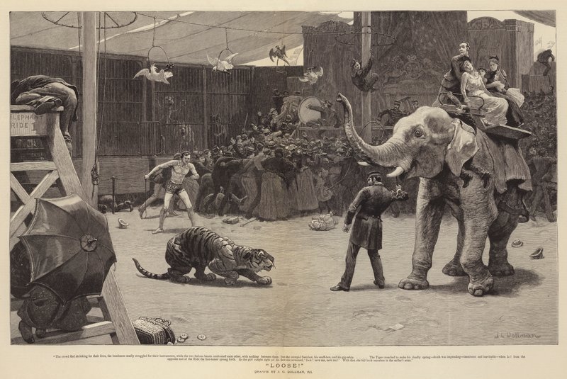 Loose! - John Charles Dollman