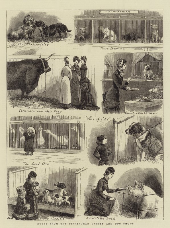 Notes des expositions de bétail et de chiens de Birmingham - John Charles Dollman