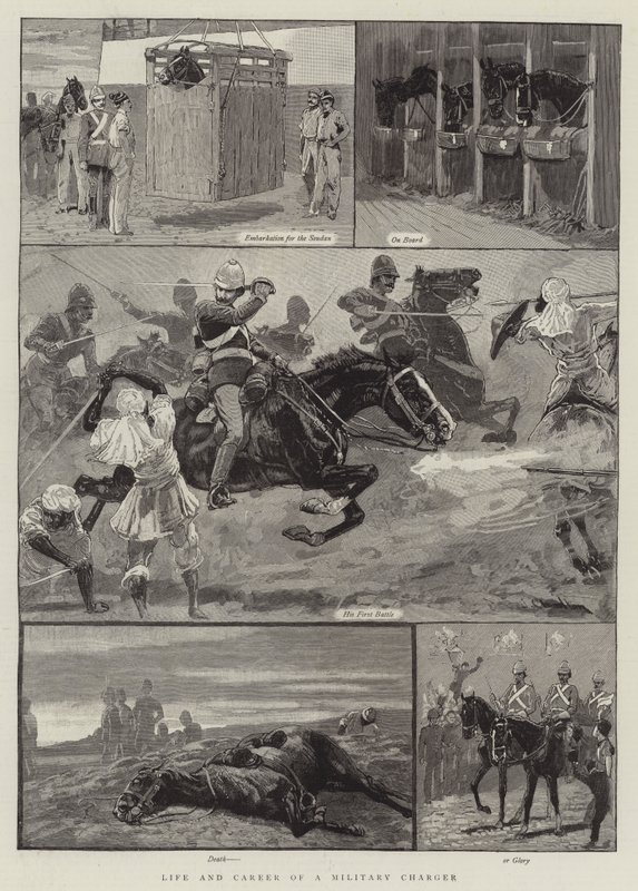 Vie et Carrière d