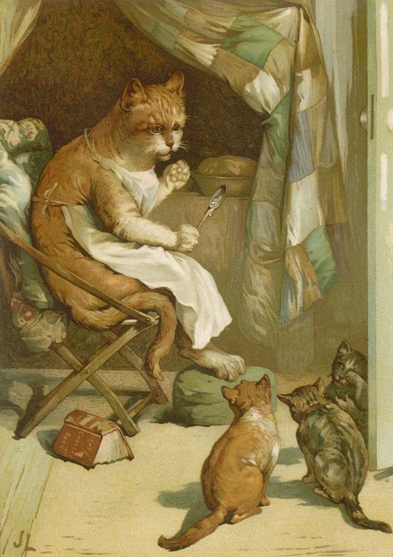 Les trois chatons - John Lawson