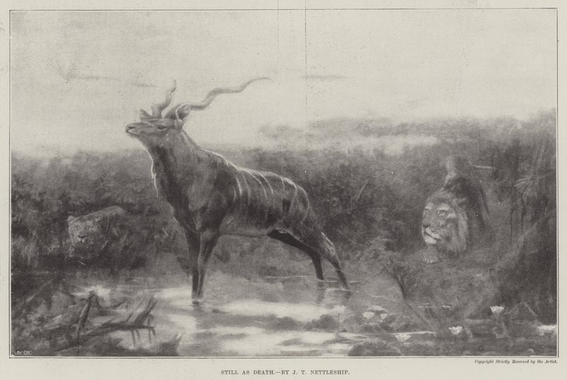 Aussi immobile que la mort - John Trivett Nettleship