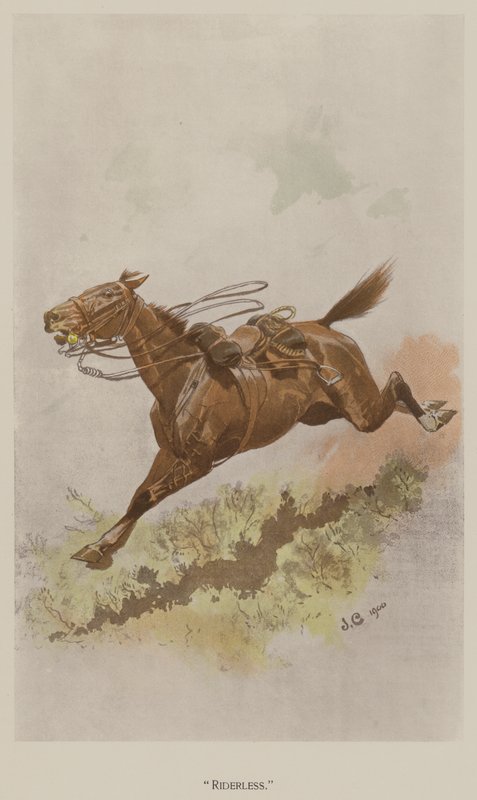 Sans Cavalier - John (after) Charlton