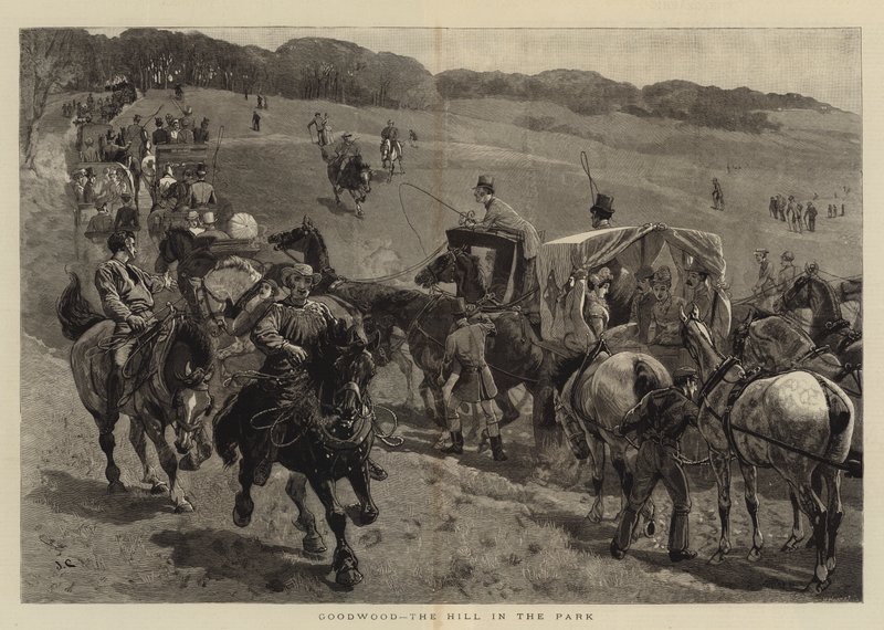 Goodwood, la colline dans le parc - John Charlton