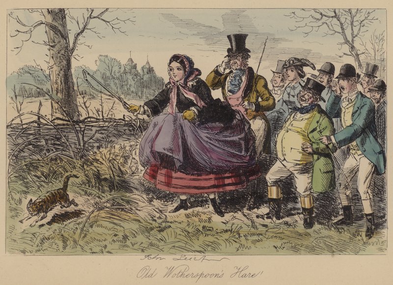 Le lièvre de vieux Wotherspoon! - John Leech
