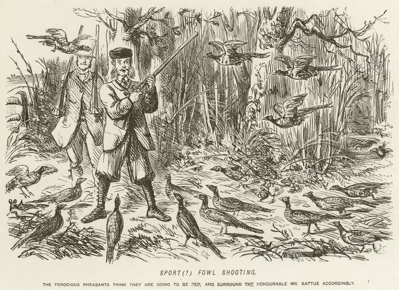 Chasse aux oiseaux de sport - John Leech