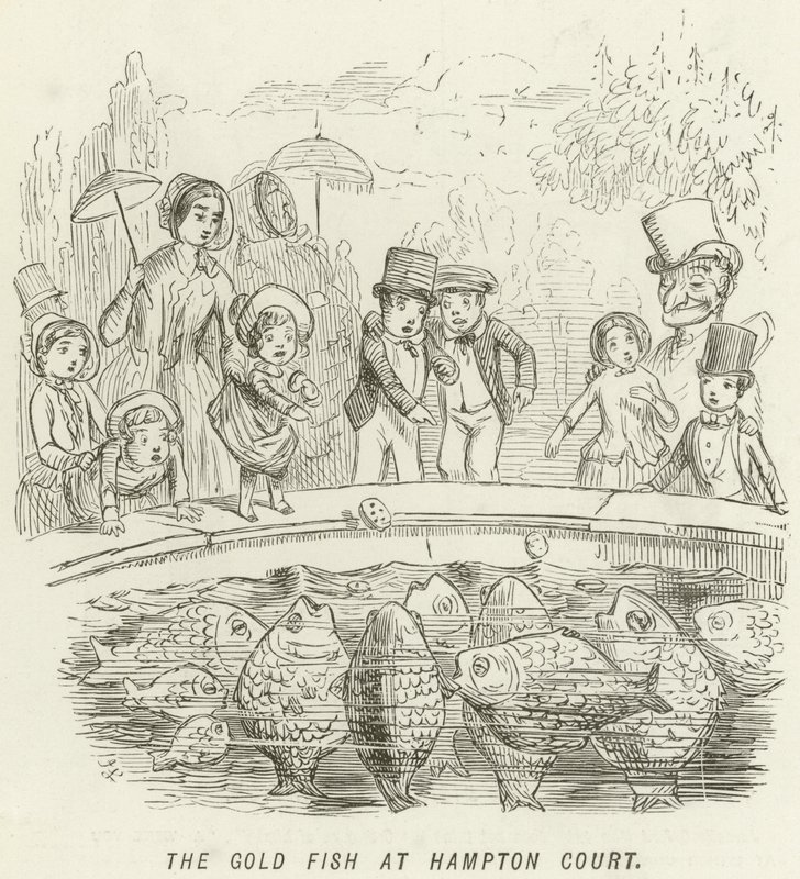Le Poisson Rouge à Hampton Court - John Leech