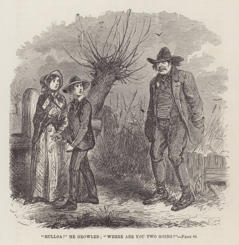 Illustration pour Les Grandes Espérances - John McLenan