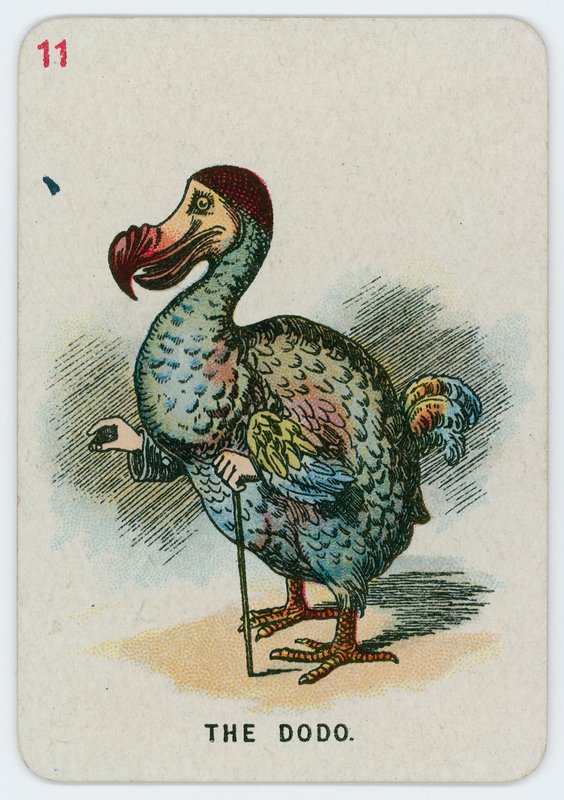 Le Dodo - John Tenniel