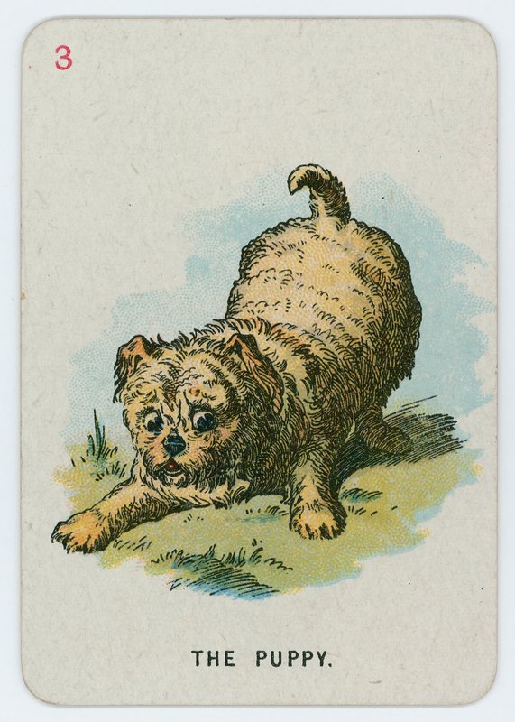 Le chiot - John Tenniel