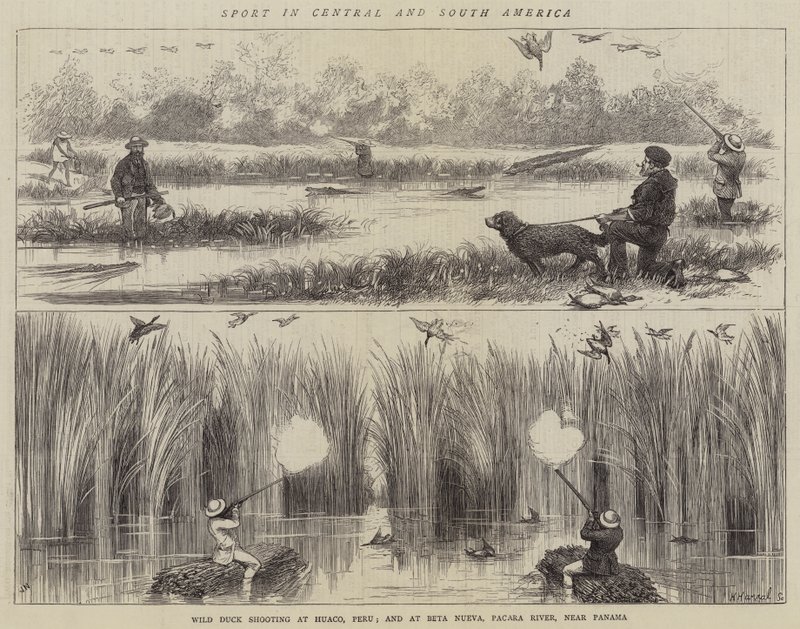 Sport en Amérique centrale et du Sud - Joseph Nash